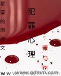 犯罪心理罪与罚文沫