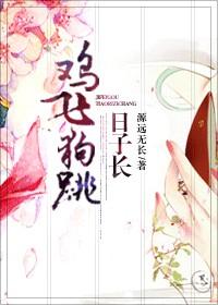 鸡飞狗跳日子长大结局