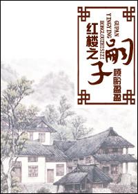 红楼嗣子嗣子科举(全息)