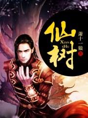 仙树30级升级表2025