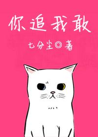 你追我敢正紧张打一准生肖