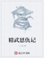 精武恩仇录全文免费