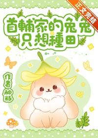 首辅的宠妻日常白兔奶糖