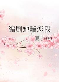 她暗恋的日记 江辞璟