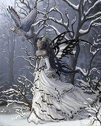 穿越女尊，对象天道包分配